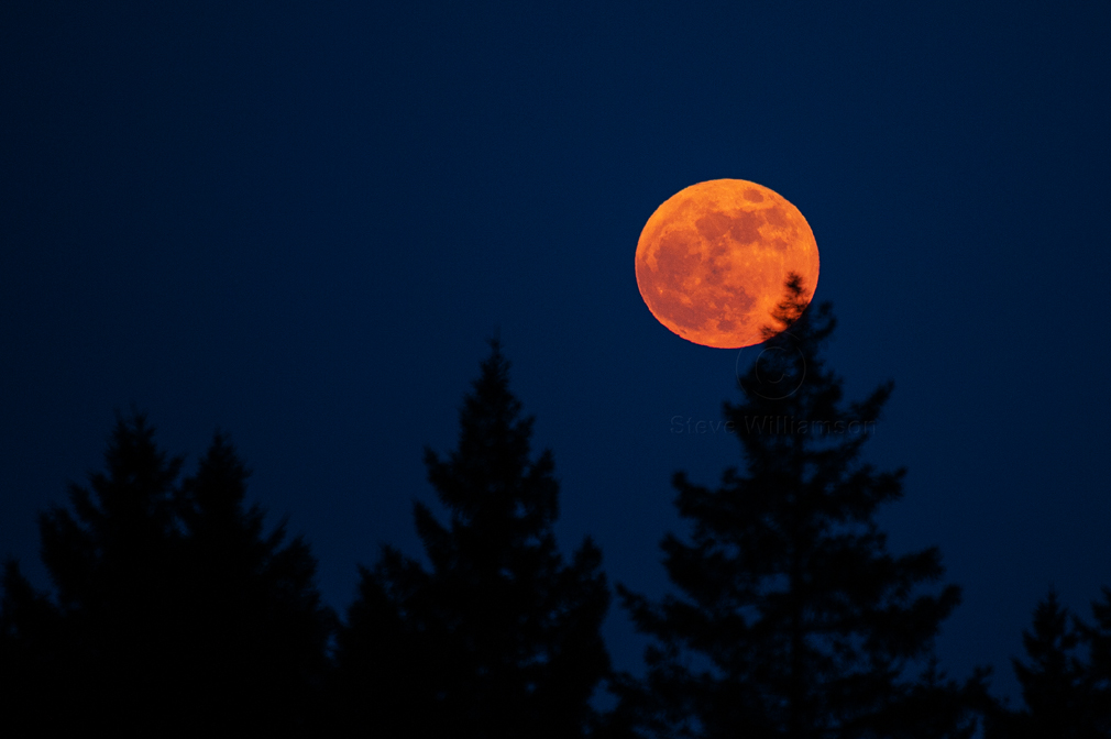 Red-Moon-Rising-2.jpg